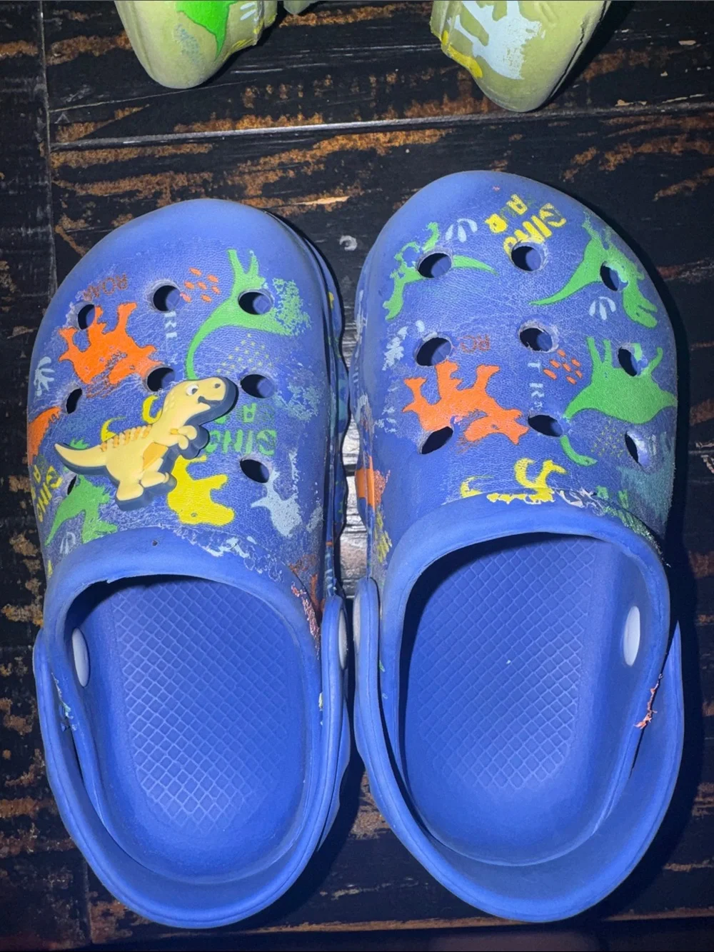 Kids' Dinosaur Clog Shoes - Green and Blue